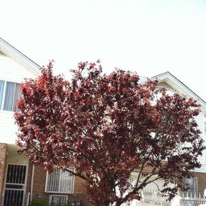 Meet your Posher, Simone